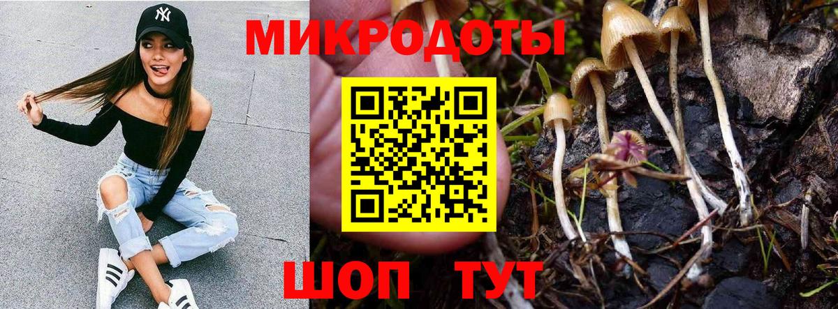 Железногорск  Псилоцибиновые грибы мицелий  Вход с VPN 